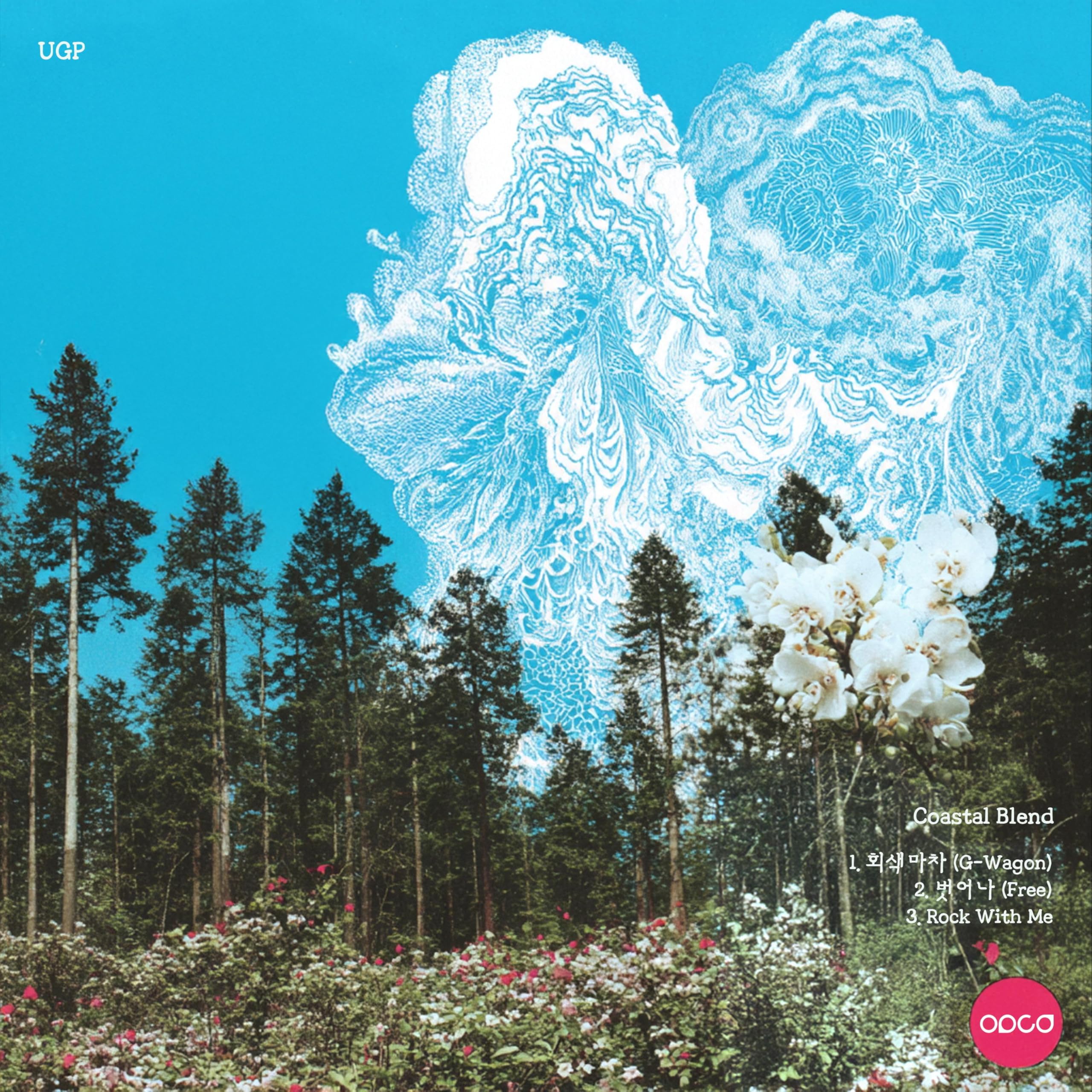 Image Cover